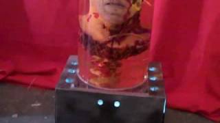 kept Alive cut off head with metal lid and base. made by j j