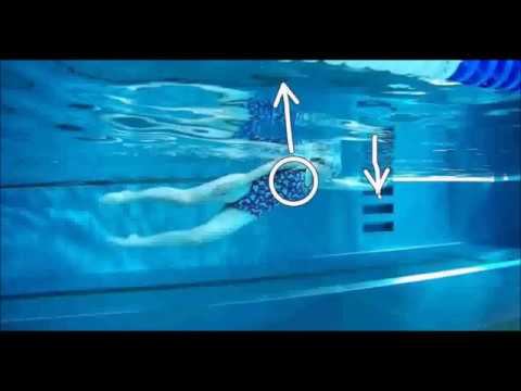 Technika plavání - KRAUL poloha těla