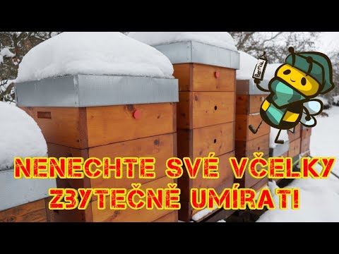 Máte správně zazimované včelky, aby v pořádku přečkaly zimu? Jak funguje včelstvo v zimě.