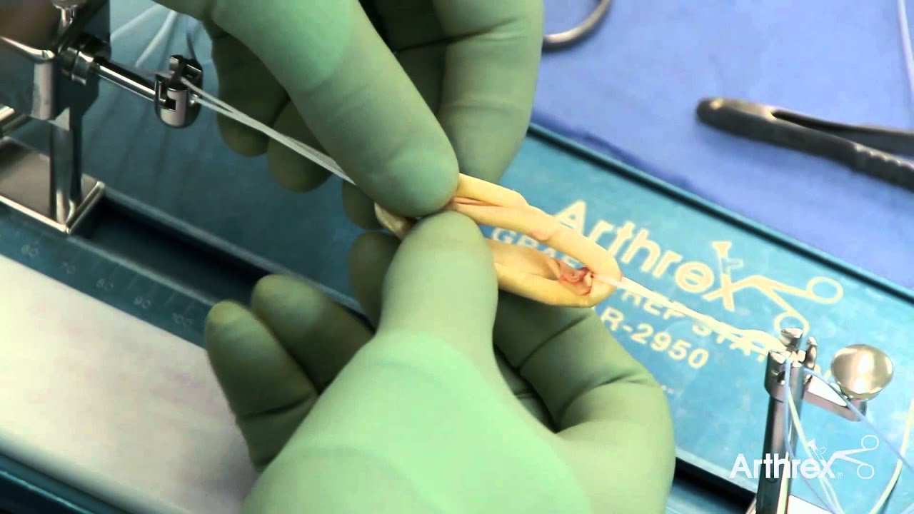 Pedro Gouveia Bastos-23