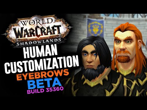 Human Customization: Eyebrows | Shadowlands Beta 35360