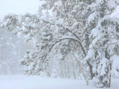 Thumbnail for Everything Sad Is Coming Untrue (Part 2) video