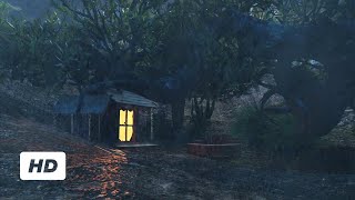 Rain | Night | Forest | Nature | Free HD Videos - No Copyright footage