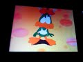 Happy Land Tiny Toons