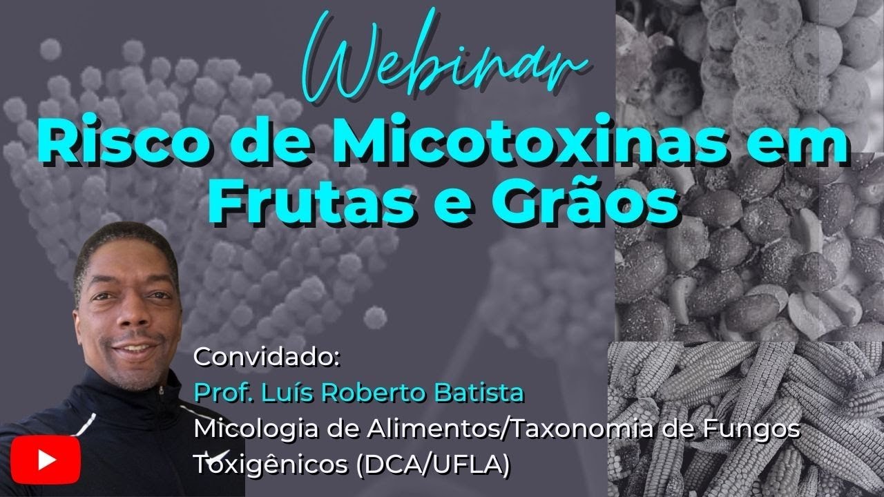 Risco de Micotoxinas em Frutas e Grãos
