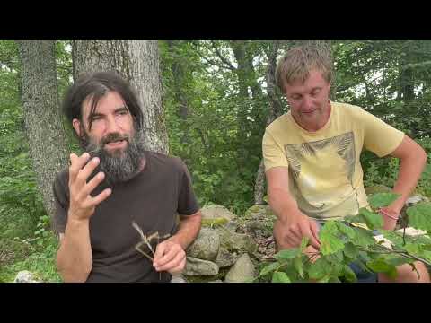 Pojďme tvořit revitalizovanou budoucnost