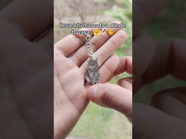 Vídeo relacionado con Wanapix | Llavero de Gatos Personalizado con Figuritas | Personaliza con Foto Grabada | Regalo Original para Amantes de los Gatos | Llavero con Foto y Charms