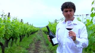 preview picture of video 'Tasting Cono Sur Ocio Pinot Noir 2007'