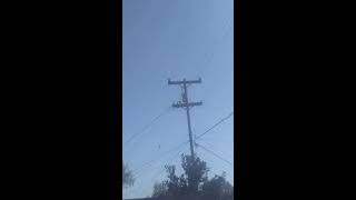 PGE Outage