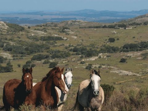 Video de YouTube - Lote en Chacas de las Sierras Ref. 9609