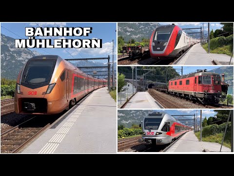 Züge beim Bahnhof Mühlehorn | Trains at Mühlehorn station (2023)