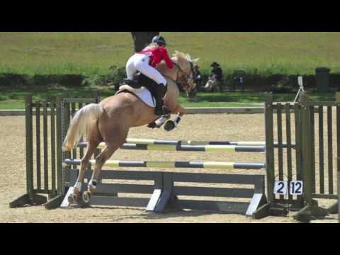 Blue Chip All Star Audition - Phoebe Ashenheim