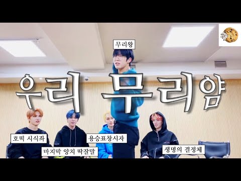 [베리베리] 지들끼리 진짜 잘 노네