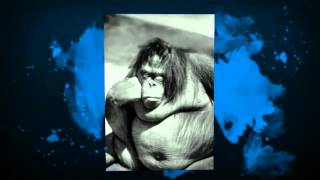 Body Dysmorphic Disorder: Suicide Risks of Extreme Dieting