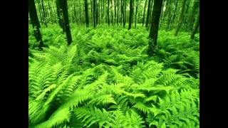 ♥ⓛⓞⓥⓔ♥☜ Stay ~ Alison Krauss☞♥ⓛⓞⓥⓔ♥