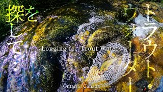トラウト・ウォーターを探して…　カナダ・オンタリオ州の渓流でトラウト釣り