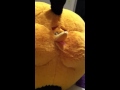 Yellow Bird And Puffed Orange Bird