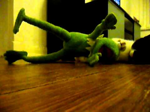 Tarek "The Cat" fights Kermit "The Frog"