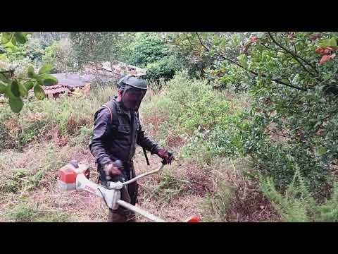 Mato leve com derramagem