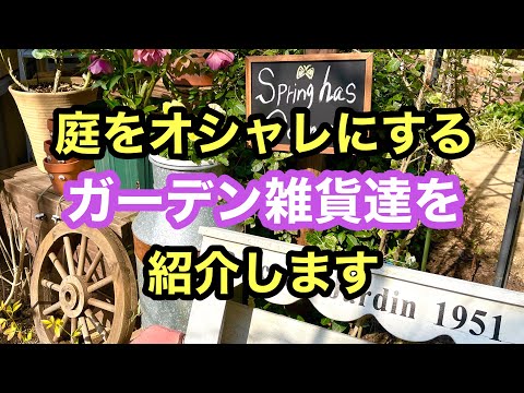庭でターメリックを使用するにはどうすればよいですか？ 5つの意外な用途と植物への影響  庭園