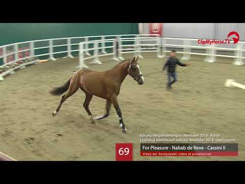 69 Hengst v. For Pleasure - Nabab de Reve - Cassini II