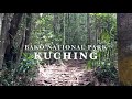 Bako National Park Part Eight Kuching Sarawak Borneo Malaysia Mud Skippers Amazing Places