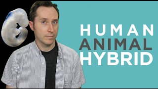 Questions February: Scientists Create a Human-Pig Chimera. Is This A Good Thing?