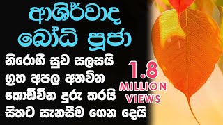 Ashirwada Bodhi Puja  - ආශිර්වාද �