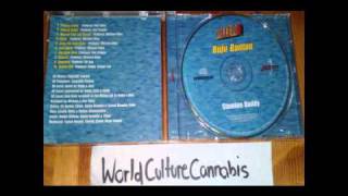 Buju Banton - Stamina Daddy