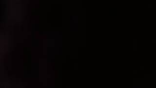 The man on the flying trapeze