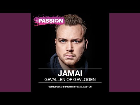 Gevallen Of Gevlogen (Radio Edit)