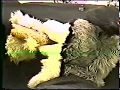 Real Italian Soda VHS