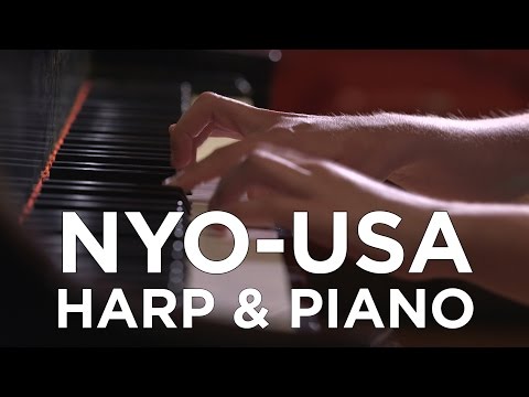 Expectations vs. Reality | Harp and Piano