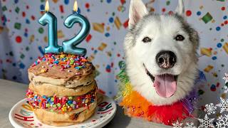 Easy and Tasty Birthday Cake For Dogs 🎂 DIY Dog Treats