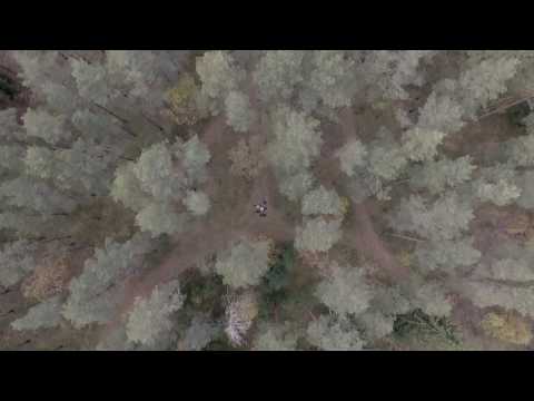 Trešīs Ņutona lykums - Muns / Muna