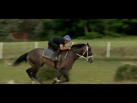 GaloppDerby2023  indulok  Raport