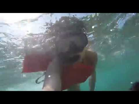 First Time Ocean Snorkeling (GoPro Hero4)