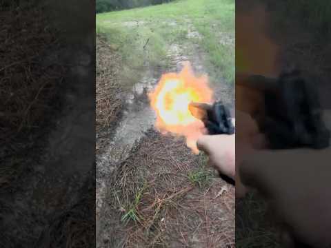 COLT GOVERNMENT MODEL 70 ( .45 acp )