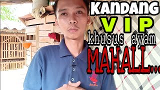 Download lagu REVIEW KANDANG IDEAL UNTUK AYAM BANGKOK | CHICKEN COOP SIMPLE mp3