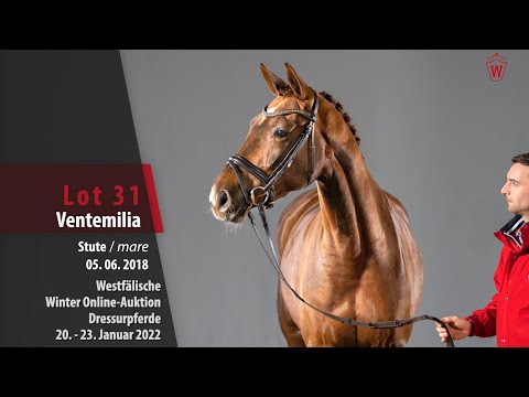 Winter Online-Auktion Lot 31 Ventemilia Stute v. Vitalis - Sandro Hit