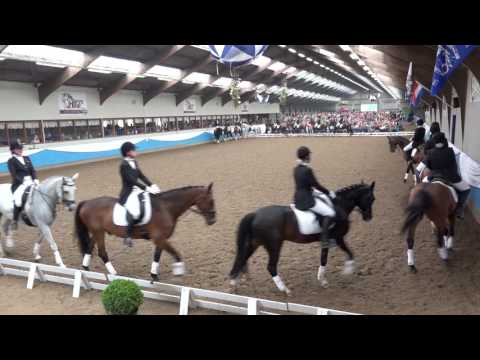 NK carrousel 2016 - De Amsterdamse Manege Paarden Carrousel
