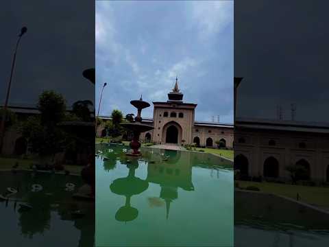 Dr shama Nawazish #shortsfeed #shortsviral #trendingshorts #ytviral #shorts #short #viralshort #love