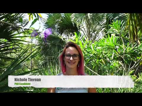 Not Just Another Pretty Flower!