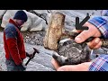 Rusty Hammer Cracks Open Perfect Fossils! Special Finds