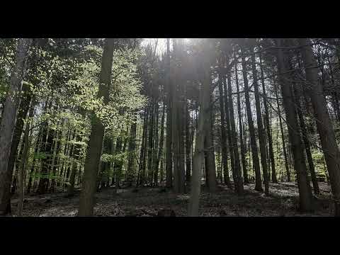 Awakening Spring - Progressive Psytrance Mix 2022  🕉  Ghost Rider, Pribe, Liquexx, Alter Nature