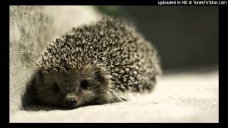 Caribou - Mars (2014)