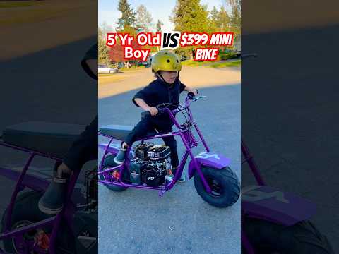 5 Yr Old vs $399 Mini Bike
