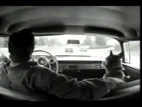 Glen Stace - Runaround 1991