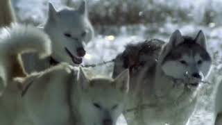 Leonard Cohen - By The Rivers Dark HQ