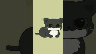 Cover art for Maxwell cat meme